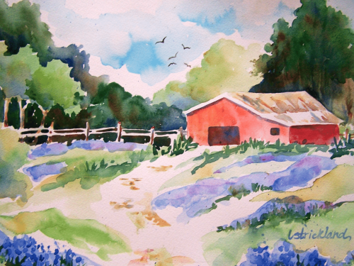 barn and bluebonnets